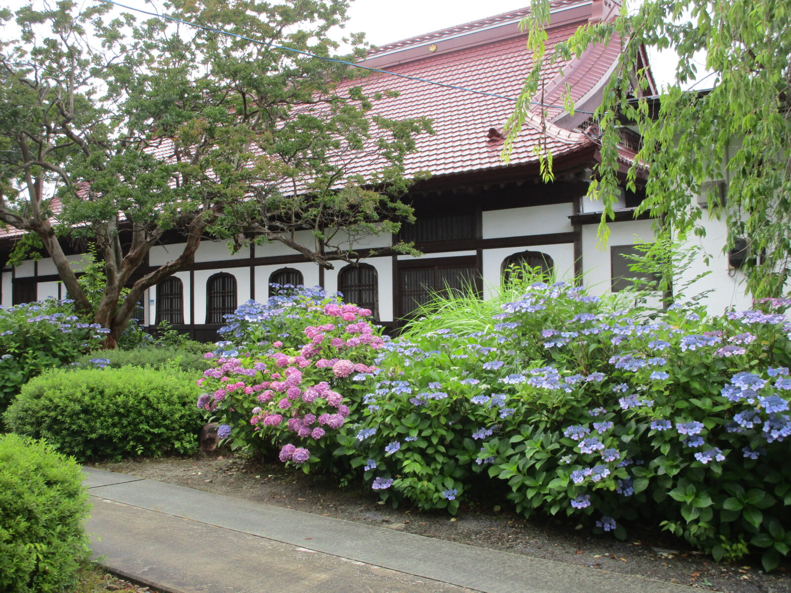 養源寺（ようげんじ）